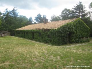 fugio Margio Salice-11-06-2016 12-03-50